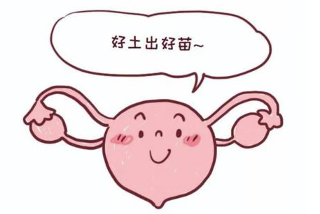 国内代怀产子费用,国内正规卵子库做*多少钱附国内用卵子费用明细