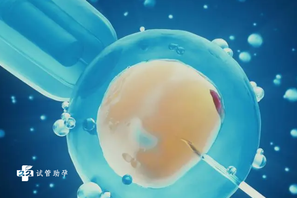 国内供卵价格表,试管胚胎碎片多的原因?*碎片多影响试管吗?