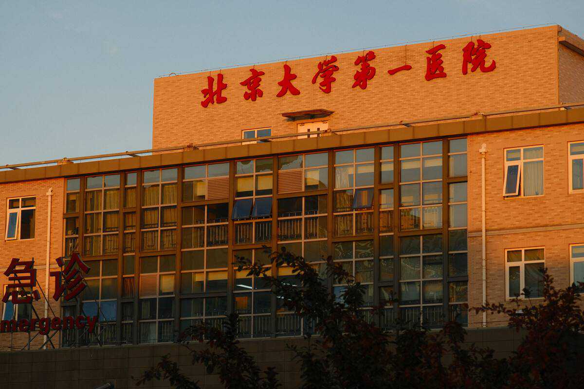 国内供卵一次多少钱,单身试管婴儿多少钱？一次试管婴儿多少钱？