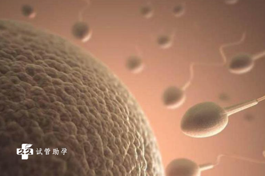 国内代生机构价格,色盲遗传不用怕，第三代试管婴儿阻断助你“好孕”！