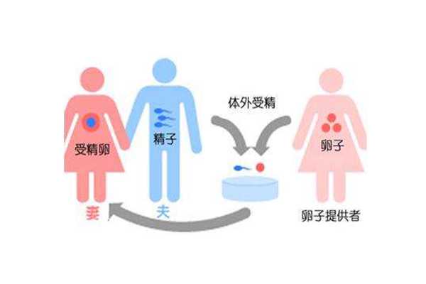 国内代生机构费用,过来人谈经历记录胎儿脐带绕颈发*时间